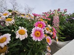 -北平花园·MUA摩造汉堡·北平咖啡(南锣鼓巷胡同店)