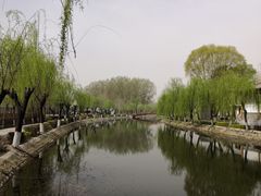 -白洋淀景区