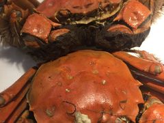 -双合园·海鲜水饺青岛菜(上清路店)