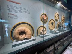 -湖南省地质博物馆