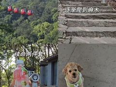 -灵顺寺
