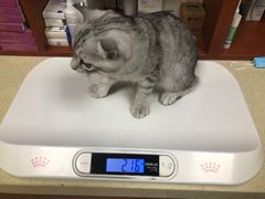-艾贝尔宠物医院·狂犬免疫点(江山金象城店)