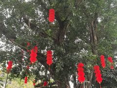 -国恩寺