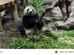 -广州长隆野生动物世界