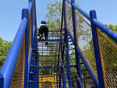 -上海海湾国家森林公园