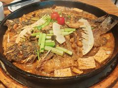 -老板恋上鱼(恒隆广场店)