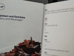 -德国汉莎航空公司