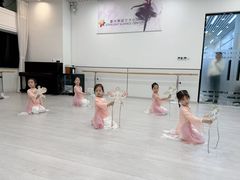 -星光舞蹈艺术中心•芭蕾舞•中国舞(太阳宫校区)