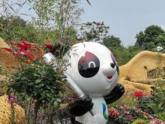 -深圳仙湖植物园