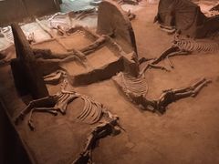 -洛阳周王城天子驾六博物馆