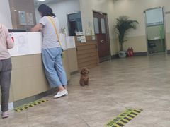 -美联众合动物医院·24h转诊中心
