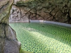-北京乐多港万豪酒店汤乐宫温泉