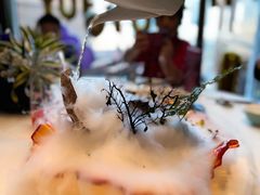 -蝶园·装修中(BFC外滩金融中心店)