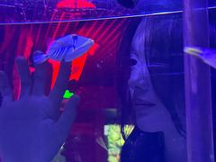 -太平洋海底世界