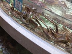 -白金汉爵大酒店·中餐厅(相城店)