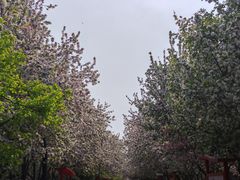-南山公园