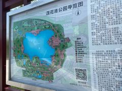 -莲花池公园