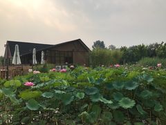 -中家鑫园温泉酒店鑫悦汤泉