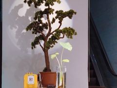 -袁亮今日陶艺(苹果社区总店)
