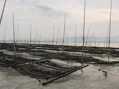 -北岐滩涂