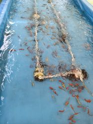 -萌宠亲子动物乐园(槐房万达店)