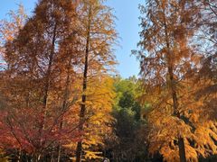 -南山风景名胜区
