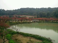 -南国桃园旅游度假区