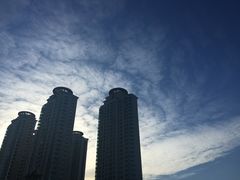 -大连老虎滩海洋公园