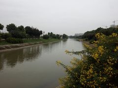 -菊园百果园