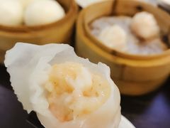 招牌虾饺皇-添运来(茶园奥园广场店)