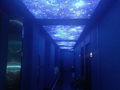 -美足时光•精致悦足•水疗SPA(龙泉店)