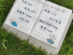 -微山湖红荷湿地景区