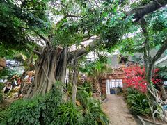 -悦隆庄温泉度假酒店