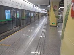 -杨柳河(地铁站)