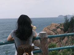 -广东惠东海龟国家级自然保护区