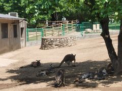 -西安秦岭野生动物园