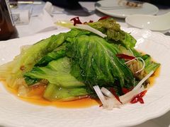 葱油罗马生菜-船歌·鱼水饺青岛菜(枫蓝国际购物中心店)