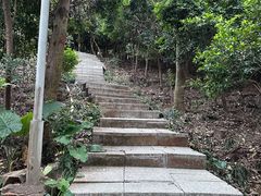 -小南山公园