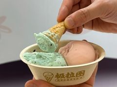 -极拉图·现制冰淇淋(大卫城店)