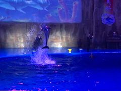 -华夏文旅海洋公园