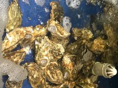 -雅逸居海鲜小厨
