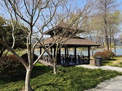 -长广溪湿地公园