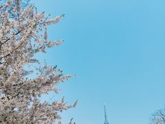 -青岛电视塔