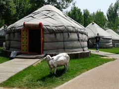 -九十九顶毡房(阜石路店)