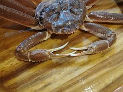 -綱元·海鲜豆捞(明州里店)