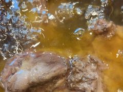 -小菜园新徽菜(扬州华润万象汇店)