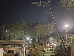 -江南天池高山汤泉城