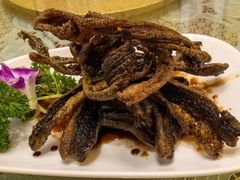 -新聚丰菜馆(太监弄店)