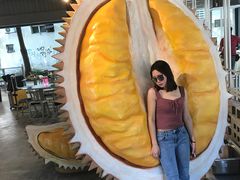 -都念榴莲·城市榴莲