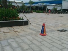 -清水湾3号(东方小周海鲜店)